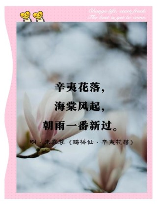 60句优美的古诗词，一字一句，让你如沐春风，让你觉得岁月静好