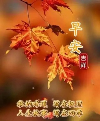 早安问候语，简短暖心一句话，祝秋天快乐！