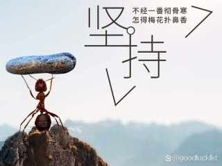 有些事情，我们需要坚持到底?励志文章