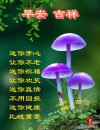 6月13日 愿我身边的亲人和朋友平安一生，健康一世，快乐一辈子