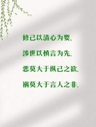 纵恶