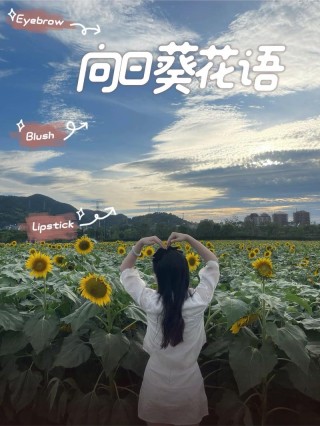 向阳而生，自有海阔天空，万千繁花
