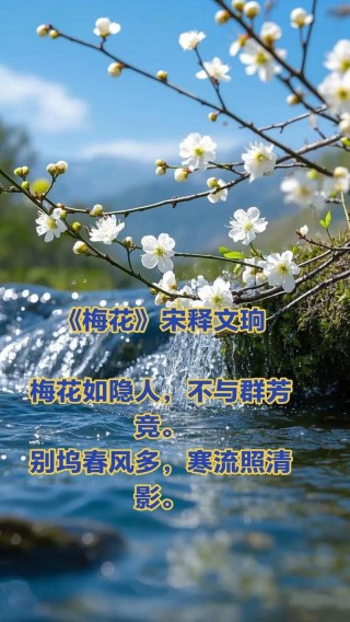 梅花飘飞的念想