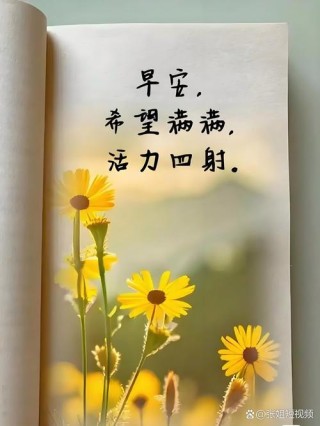 新的一天，新的希望，迎接新的机遇，早安。