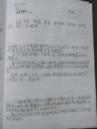 《朝花夕拾》链接阅读之《聪明人和傻子和奴才》好句摘抄及赏析