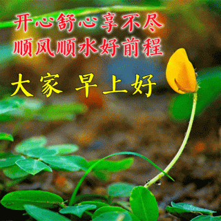 一来二去女宽心 （打一字）