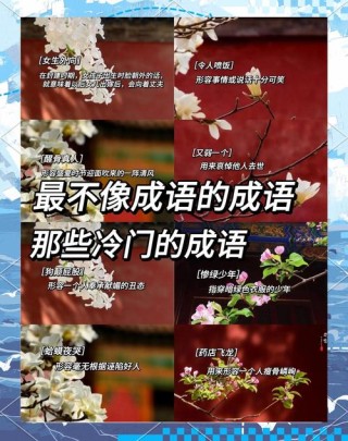 十个一见难忘的成语
