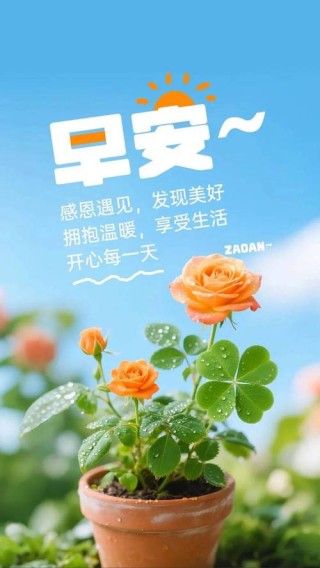 正能量简单的一句话心情说说 问候的唯美句子