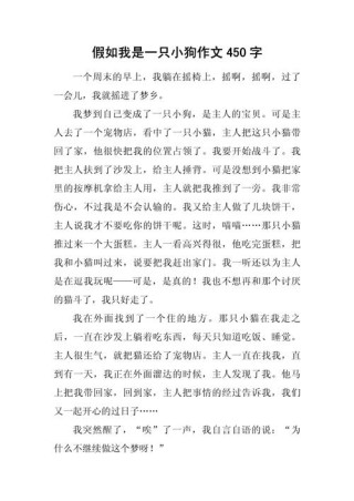 随笔高一作文450字