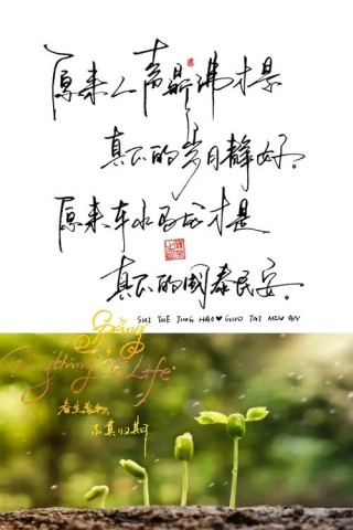 疫情解封后的文案（关于疫情解封的文案短句）