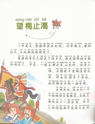 梅子的故事