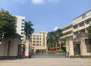 广州有哪些职业技术学院