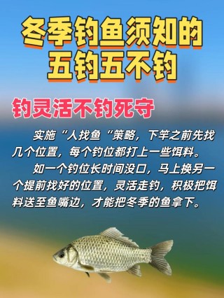 编这次精心整理了悠闲钓鱼的心情说说，发朋友圈钓鱼的句子