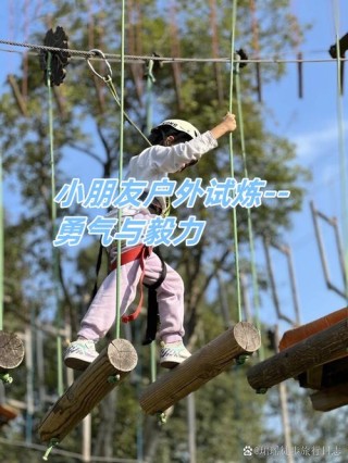 玩耍的力量