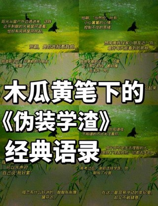 作文分一直涨不起来，作文里面写《伪装学渣》的句子，可以一试