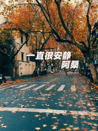 爱一直很安静