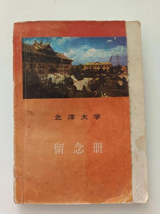 大学，堕落的年代