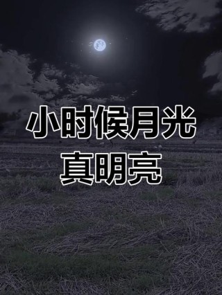 回忆的月光