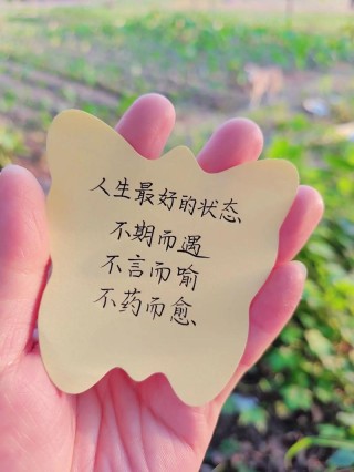 散文：醉美人间，不负春光，不负遇见，人生所遇皆是美好
