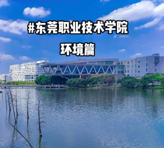 2025东莞职业技术学院录取分数线是多少「在各省录取最低分」