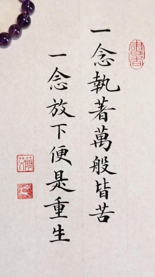 悼念我的执著