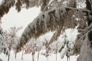 北方风雪