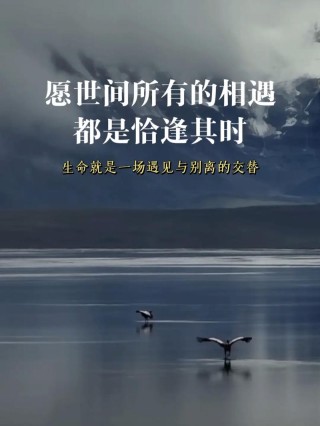 茫茫人海,每一场相遇,都是一场美丽  30条唯美到窒息情感说说