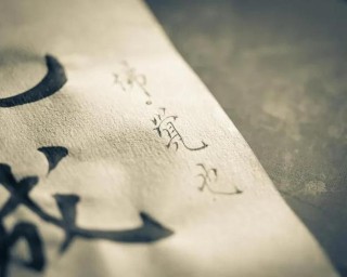 在忙碌中期待