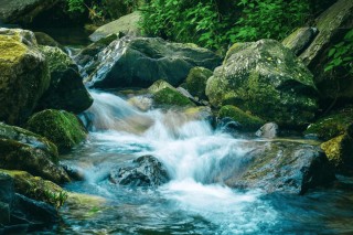家乡的山泉水