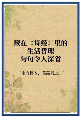 善贾而沽[shàn jià ér gū]