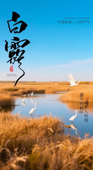 今有秋意