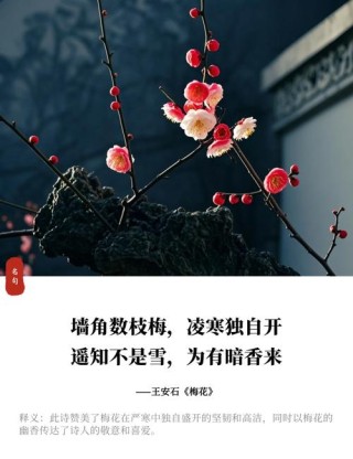 诗词鉴赏?只有瑞香先腊开，十首瑞香花的诗词，看了梅花看瑞香
