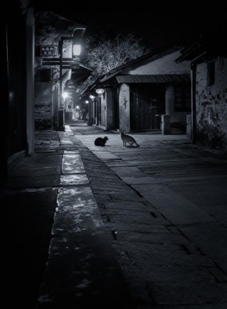 静静的夜