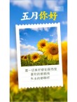 30句适合五月的诗意文案，愿所有的美好都如约而至