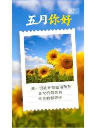 30句适合五月的诗意文案，愿所有的美好都如约而至