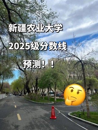 2026新疆农业大学多少分能上？2025年最新录取分数线