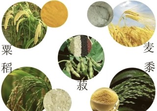 黍抗脆稻决休钞阔渔心