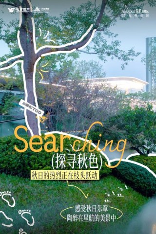 时光的邂逅