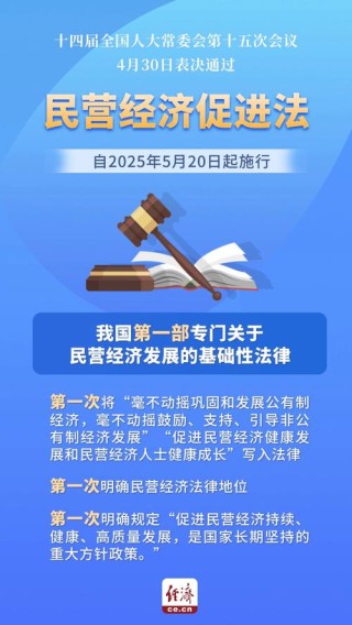 打造一流市场化法治化国际化营商环境 着力推动民营经济做大做优做强