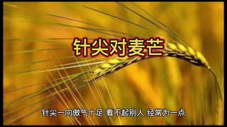 当针尖遇到麦芒