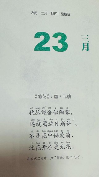 6首唯美的菊花诗词，读来朗朗上口，通俗易懂