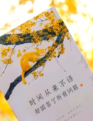 夜读丨季羡林经典的7句话，干净通透