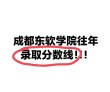 成都东软学院各专业在江苏招生人数、录取分数线2026（附：招生计划表）