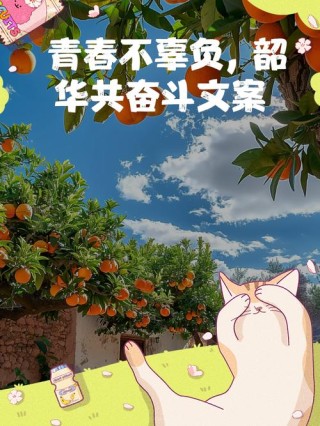 青年微创业｜致青春创未来：初心不改，以梦为马，不负韶华