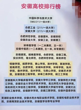 安徽高考物理类排名5000-6000位次能上什么大学（2026）