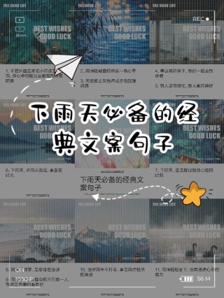 这是一个很长的文案，这是小雨跟2020的故事