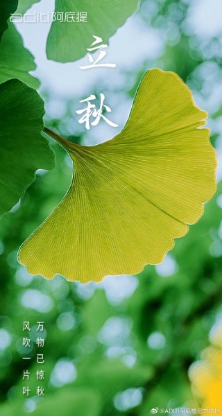 风吹一片叶 万物已惊秋