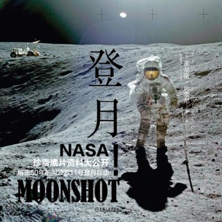 Moonshot/登月