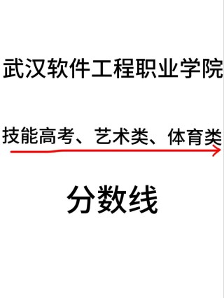 武汉软件工程职业学院2026各专业在湖南招生人数、录取分数线（附：招生计划表）