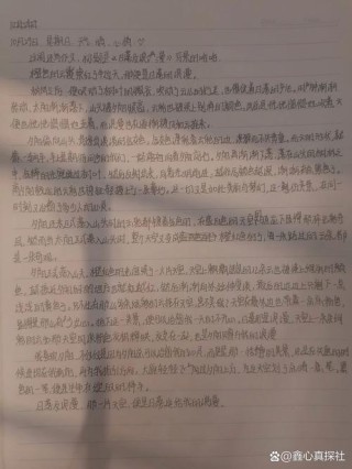 高二期中考试总结的周记600字